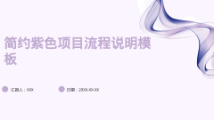 简约紫色项目流程说明模板风格PPT生成